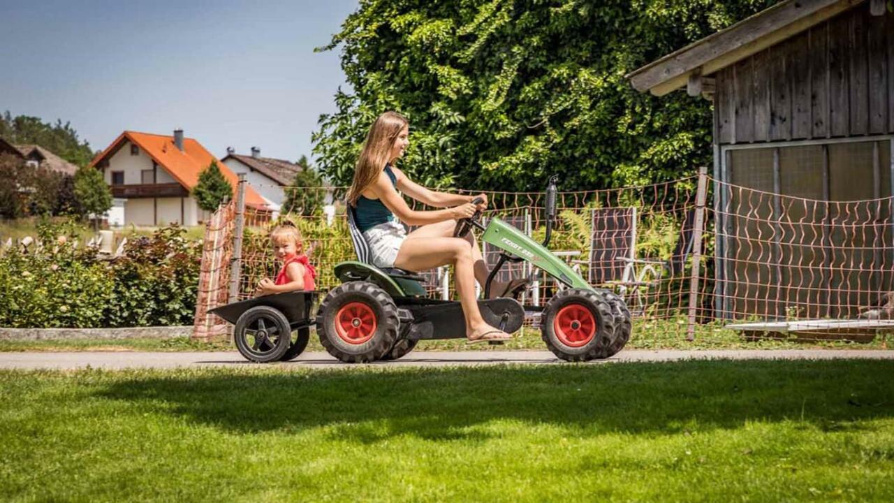 Urlaub Am Regen - Ferienhof Dirnberger Nittenau Extérieur photo